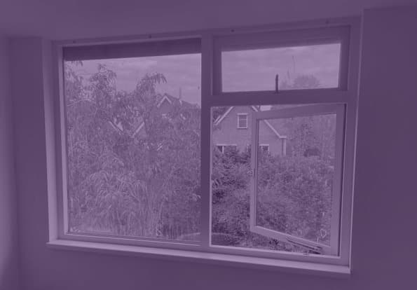 Praktijkverhalen van een adviseur: friemelbeestjes (deel 2)