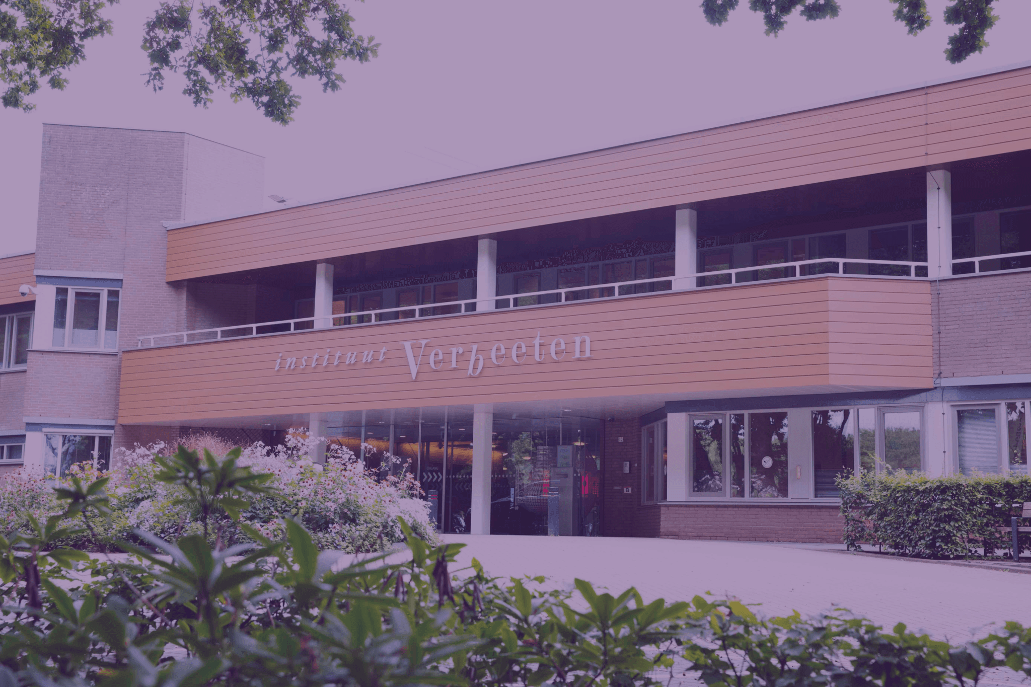 Succesvolle implementatie AFAS (HR & Finance) bij Instituut Verbeeten