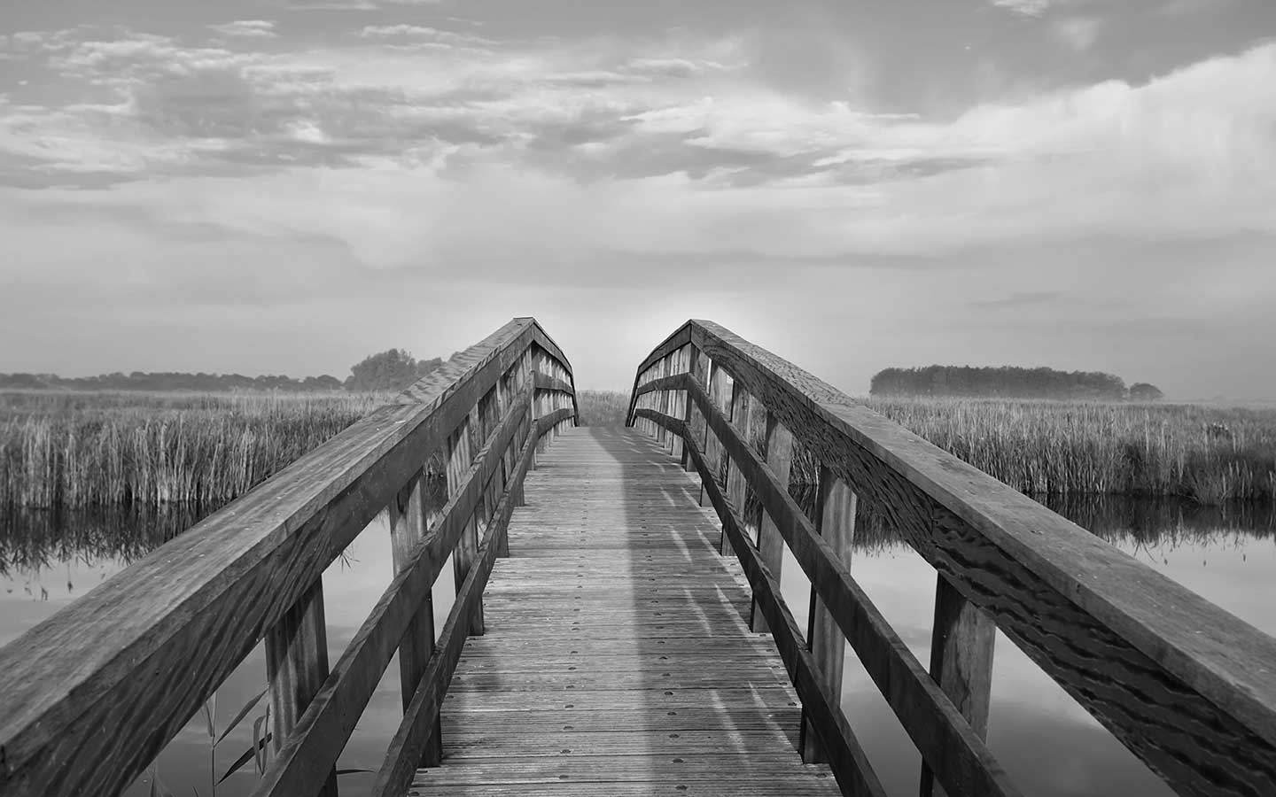 Purplebridge achtergrond